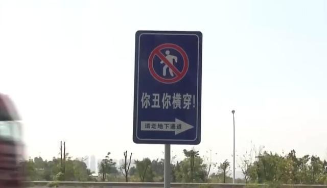 交通警示牌